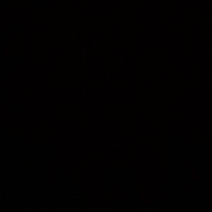 Meet your Posher, Ben